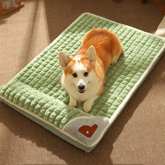 Memory Foam Pet Bed